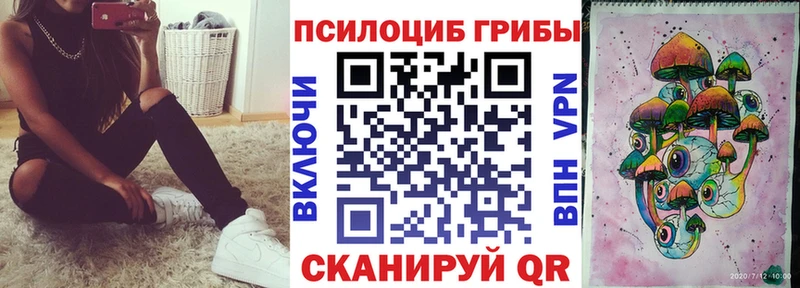 Купить где  Поронайск  Псилоцибиновые грибы Cubensis 