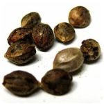 Семена марихуаны АК-47  (Seeds AK-47) в Поронайске